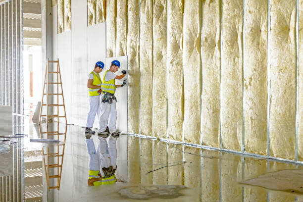 Best Insulation Maintenance and Repair in Centralia, WA